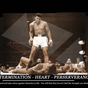 Determination - Heart  - Perseverance